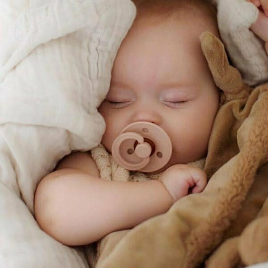 Bibs Colour Pacifiers Rubber Woodchuck / Blush for 0-6 months 2pcs