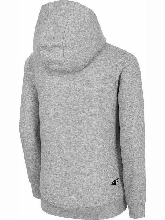 4F Boys Athleisure Cotton Hooded Sweatshirt with Zipper Gray