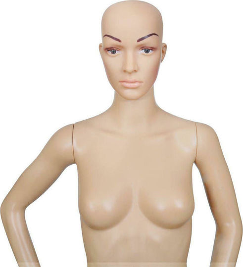 vidaXL Κούκλα Βιτρίνας 30023