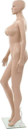 vidaXL Display Mannequin 142930