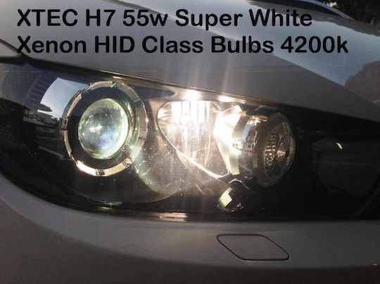 Xtec Λάμπες Αυτοκινήτου HID SuperWhite H7 Αλογόνου 4200K Φυσικό Λευκό 12V 55W 2τμχ