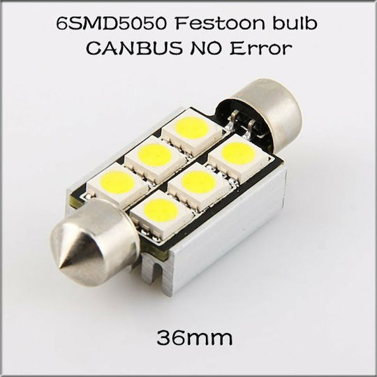 Carman Λάμπες Αυτοκινήτου & Μοτοσυκλέτας SV8.5-8 Canbus LED 2τμχ