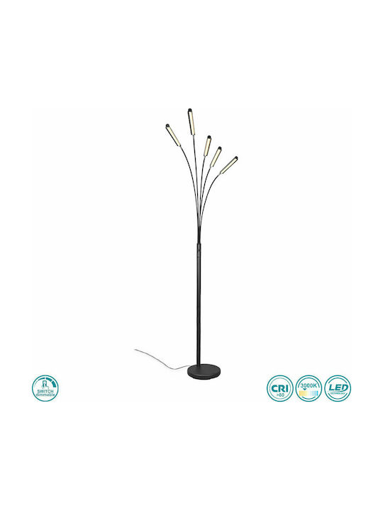 Trio Lighting Reed LED Φωτιστικό Δαπέδου Υ195.5εκ. Trio Lighting Reed LED Φωτιστικό Δαπέδου Υ195.5εκ.