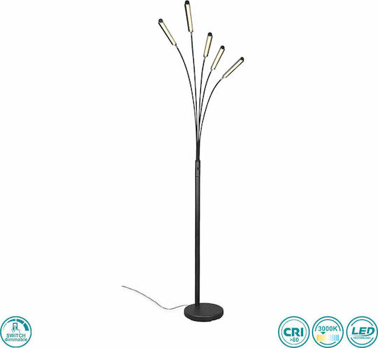 Trio Lighting R410315 Trio Lighting R410315