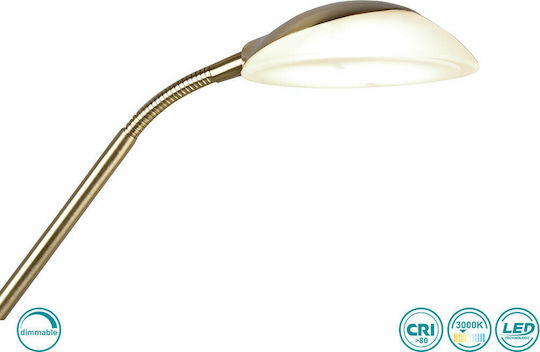 Trio Lighting Orson LED Подова Лампа В180xД32см. 2700лм Златист