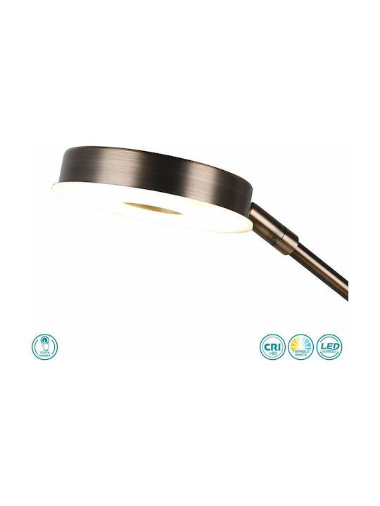 Trio Lighting Barrie LED Φωτιστικό Δαπέδου Υ181εκ. Trio Lighting Barrie LED Φωτιστικό Δαπέδου Υ181εκ.