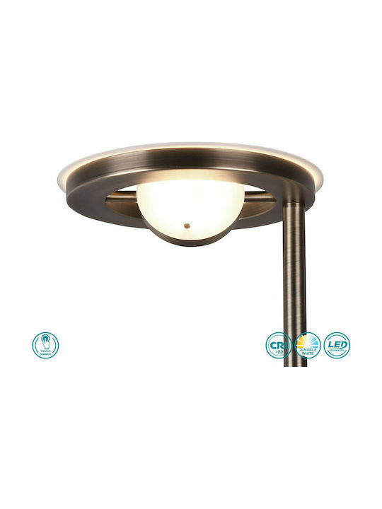 Trio Lighting Barrie Vintage LED Floor Lamp H181xW30cm. with Adjustable White Light 4000lm Bronze