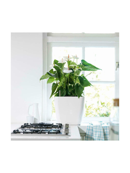 Lechuza Quadro LS Self-watering Pot Plastic 35.5x35.5x32.5cm.