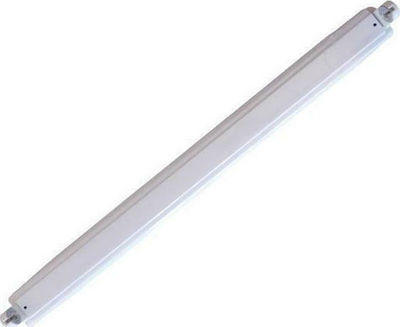 Eurolamp Φωτιστικό Σκαφάκι T8 61.5cm