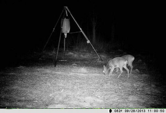 Clever SecurityCam Hunting Camera Night Vision with Motion Detection