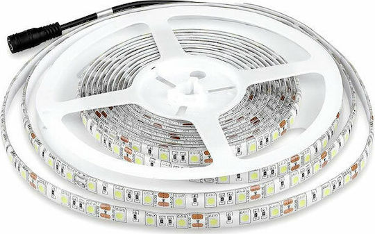 V-TAC Αδιάβροχη Ταινία LED 12V Ψυχρό Λευκό Φως 5m Τύπου SMD5050