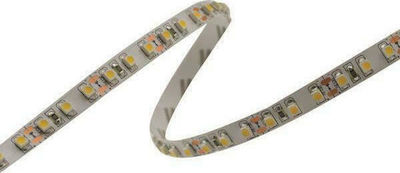 Eurolamp LED Strip Power Supply 24V with Warm White Light Length 5m and 120 LEDs per Meter SMD2835