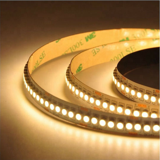 Atman LED Strip 12V Natural White Light 5m Type SMD3528