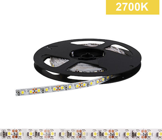 Vivalux LED Strip 12V Warm White Light 5m Type SMD2835