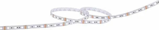 Geyer LED Strip 12V Cold White Light 5m Type SMD5050
