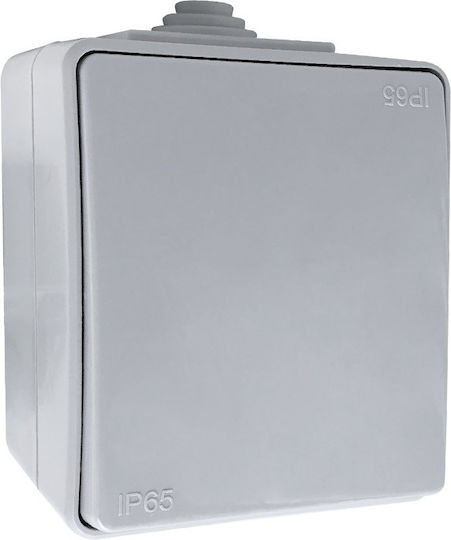 Elmark Aller Retour Waterproof Wall-mounted Single Switch with Frame Gray