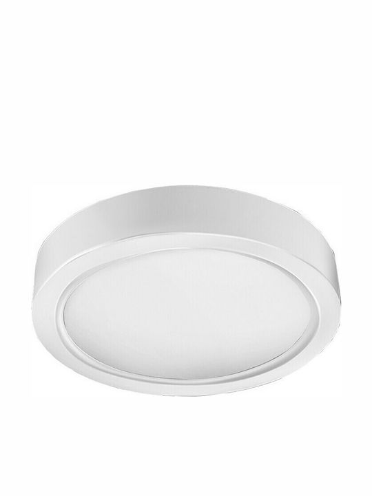 Vito Round Outdoor LED Panel 24W with Cool White Light 6000K 30cm