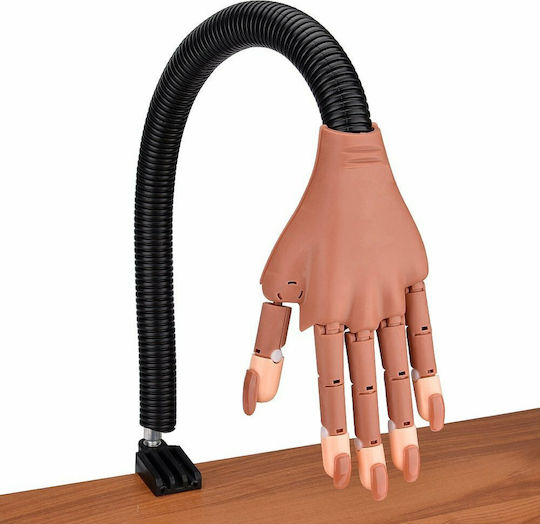 Educational Hand for Aesthetics