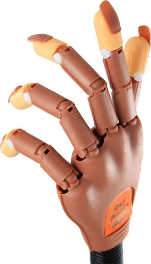 Educational Hand for Aesthetics