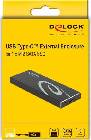 DeLock Hard Drive Case M.2 SATA III with connection Type-C in Schwarz color