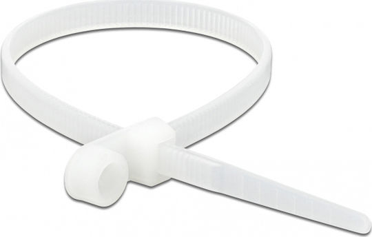 DeLock Pack of 10pcs White Plastic Cable Ties 160x4.8mm 18944