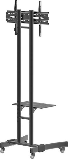 Red Eagle Vectron Βάση Τηλεόρασης Δαπέδου έως 55" και 40kg