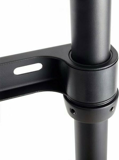 Nedis TVSM7250BK Βάση Τηλεόρασης Δαπέδου έως 75" και 40kg Black