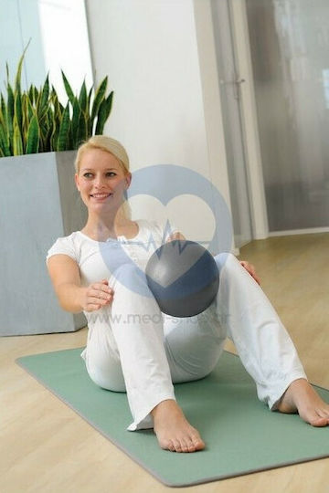 Sissel Mini Ball Pilates 22cm in Gray Color