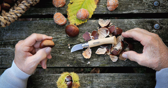 Opinel No.07 Σουγιάς Chestnut