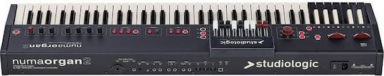 StudioLogic Electric Stage Piano Numa Organ 2 with 73 Semi-Weighted Keys and Connection with Headphones and Computer Black