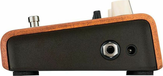 LR Baggs Align Series Pedală Egalizator Chitară electrică