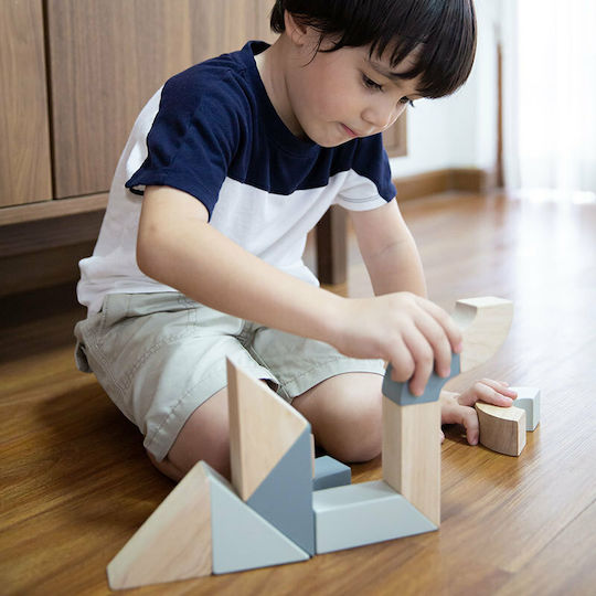 Plan Toys Τουβλάκια Περιστρεφόμενα Ξύλινα για 2+ Ετών 14τμχ
