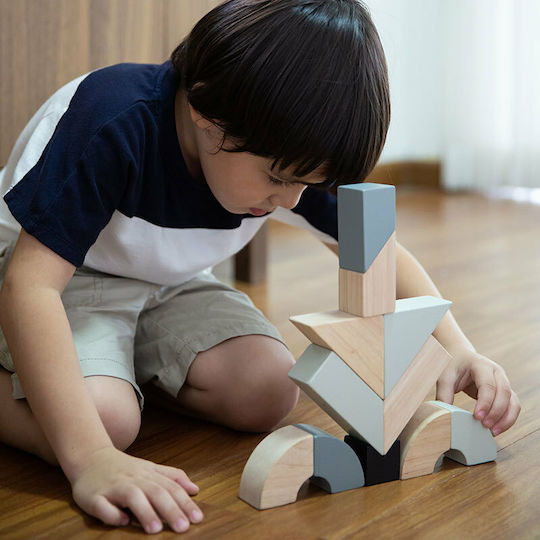 Plan Toys Τουβλάκια Περιστρεφόμενα Ξύλινα για 2+ Ετών 14τμχ