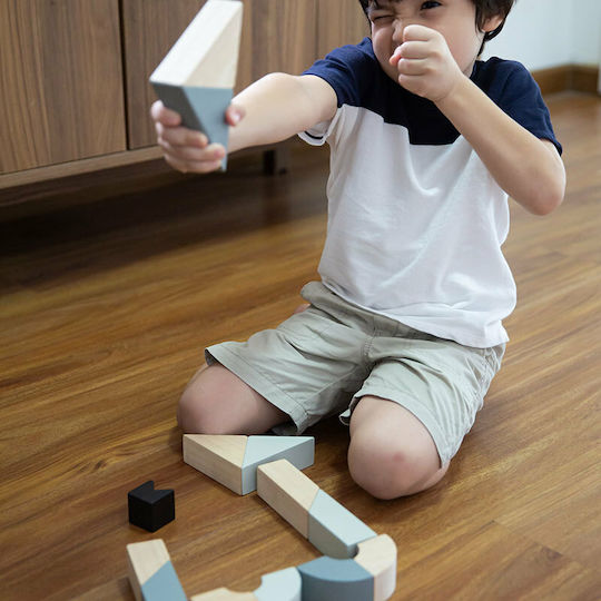 Plan Toys Τουβλάκια Περιστρεφόμενα Ξύλινα για 2+ Ετών 14τμχ