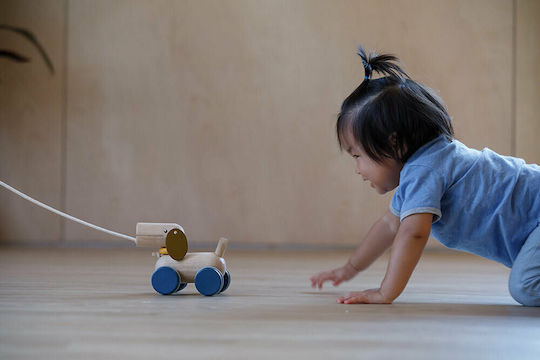 Plan Toys Συρόμενο Παιχνίδι Κουταβάκι που Κινείται από Ξύλο με Ήχους για 10+ Μηνών