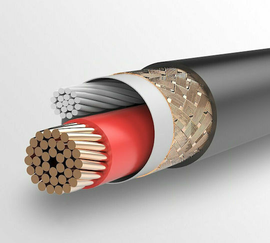 Ugreen AV131 XLR female to 6.3mm male 2m Cable (20719)