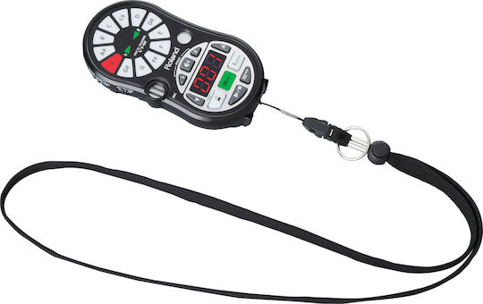 Roland Vocal Trainer