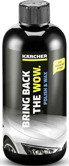 Karcher RM 660 Cleanser 500ml