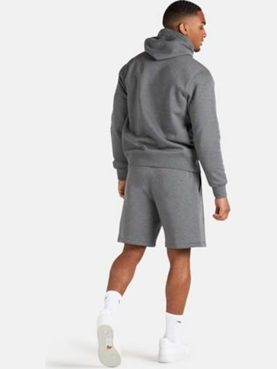 Park 20 Sweatshirt with Hood Gray