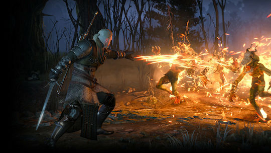 The Witcher 3: Wild Hunt Game of the Year Edition (Key) PC Game