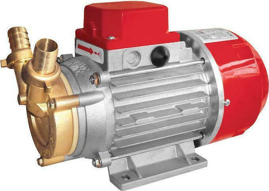 Rover Pompe Marina 20 - 24V Transfer Pump with 2" Inlet and 0.5hp Horsepower 24V