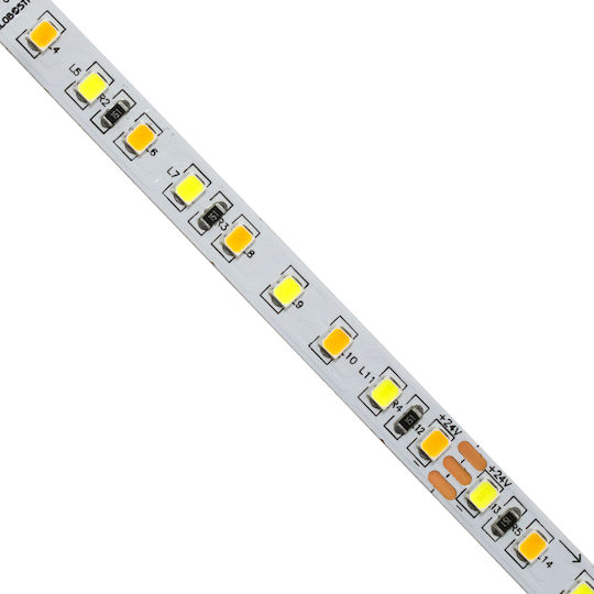 GloboStar LED Лента 24V Регулируемо бяло Светлина 5м Тип SMD2835