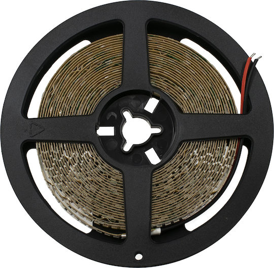 GloboStar LED-Streifen 24V Grün Licht 5m Typ SMD2835