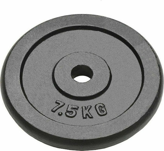 vidaXL Set of Plates Metal 4 x 7.5kg Φ30mm