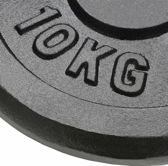 vidaXL Σετ Δίσκοι Μεταλλικοί 2 x 10kg Φ30mm