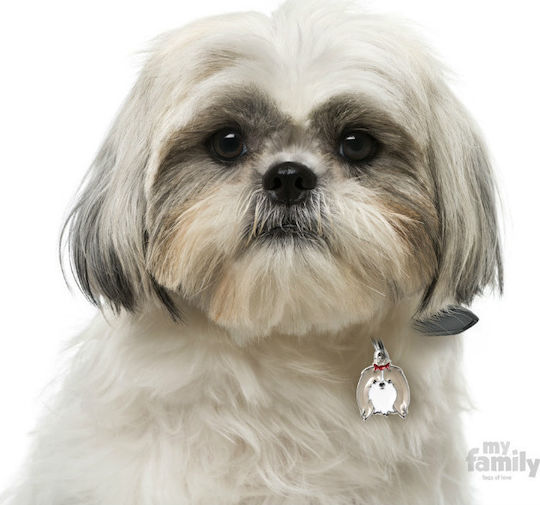 My Family Friends Shih Tzu Etichetă Pentru Identificarea Câinelui Gri Metalică Personalizată