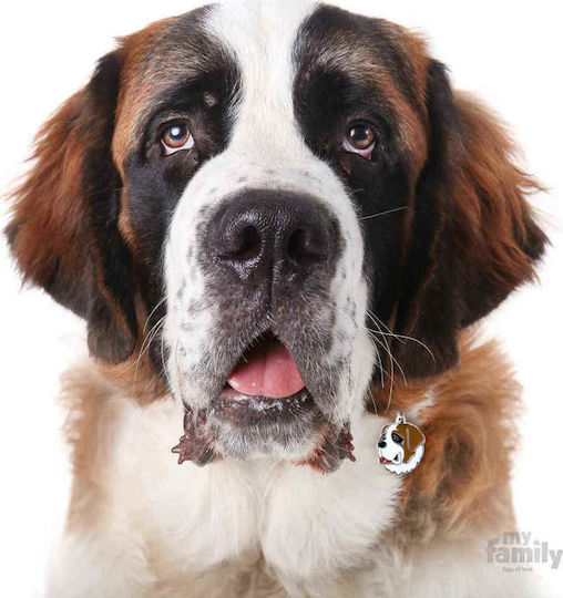 My Family Friends St Bernard Dog ID Tag Brown Metal Personalized