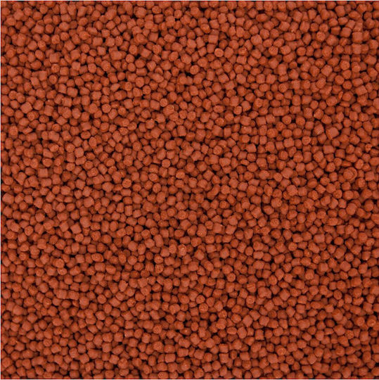 Ocean Nutrition Formula One Marine Pellet Small Τροφή για Τροπικά Ψάρια σε Κόκκους με Σπιρουλίνα 100γρ.