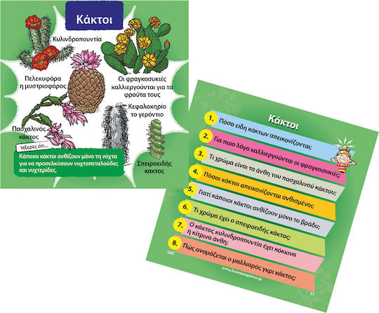 BrainBox Φύση Educational Game Knowledge for 8+ years old Years Old