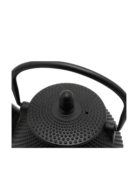 Bredemeijer Wuhan Tea Set with Filter Cast Iron Black 1000ml 1pcs